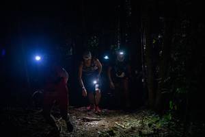 BIB: 
                            <button type="button" onclick="openModal(19208984)" class="btn btn-primary btn-sm float-right btn-popup" data-toggle="modal" data-target=".modal-high-quality">
                        <i class="fas fa-shopping-cart"></i> Add to Cart
                    </button>
                                            <button type="button" onclick="isThisMe(19208984, true)" class="btn btn-success btn-sm float-right btn-popup btn-isme hidden" data-toggle="tooltip" data-placement="bottom" title="นี่คือรูปของคุณใช่ไหม คลิกที่นี่เพื่อเอาเข้าอัลบั้ม">
                        <i class="fas fa-plus"></i> Add to album
                    </button>
                    <button type="button" onclick="isThisMe(19208984, false)" class="btn btn-warning btn-sm float-right btn-popup btn-isnotme hidden">
                        <i class="fas fa-ban"></i> Remove from album
                    </button>